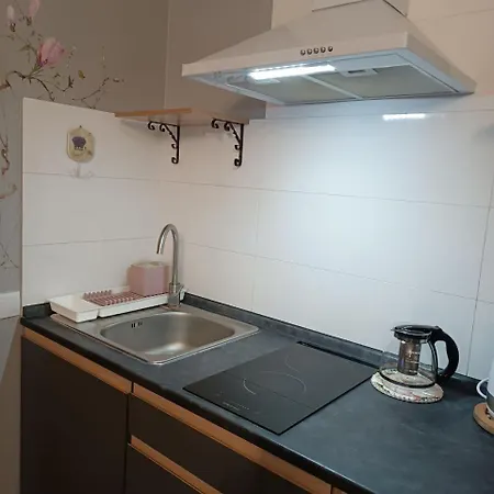 на гірській Hotel Skhidnytsia