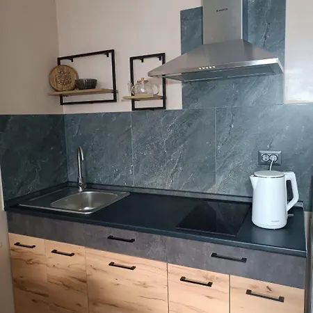 Hotel на гірській Skhidnytsia