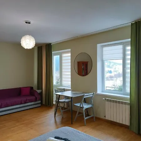 Hotel на гірській Skhidnytsia
