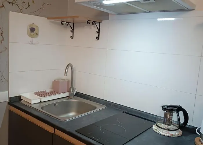 на гірській Hotel Skhidnytsia